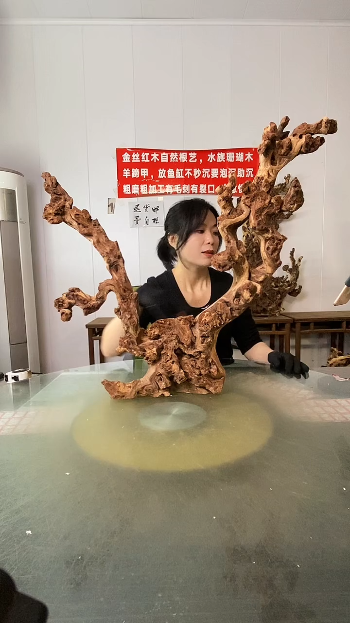 木二*公金丝红木 羊蹄甲