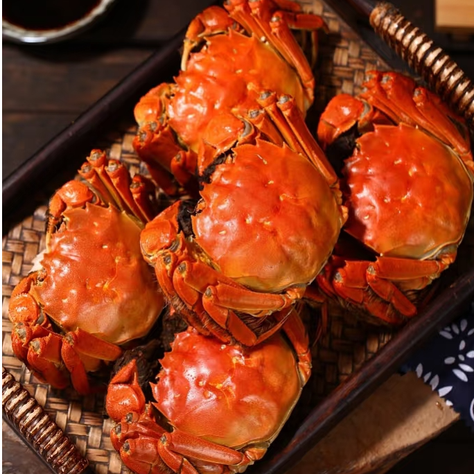 【活蟹现发】鲜活大闸蟹母蟹4.0-3.7两共8/10只 