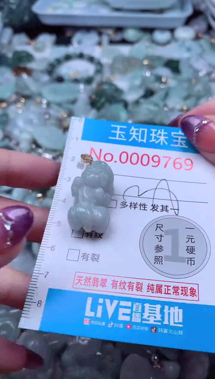 翡翠未镶嵌吊坠(不含链)9769