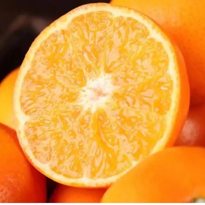 【果园直发】云贵高原 高山无核沃柑（091沃柑） 9斤 新鲜采摘