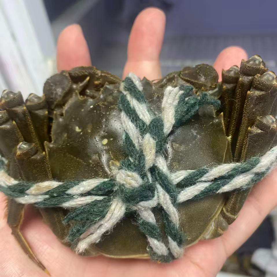 2.2两母江苏大闸蟹10只