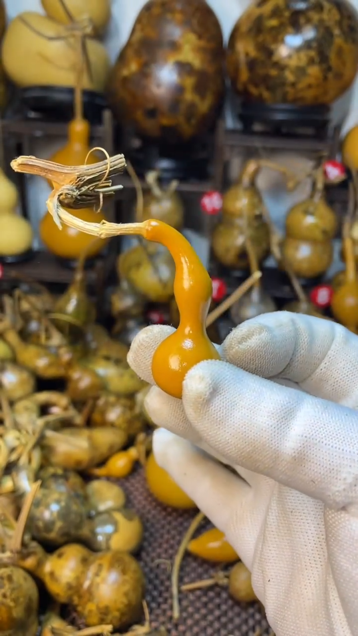 【闪购商品】葫芦葫芦葫芦葫芦葫芦