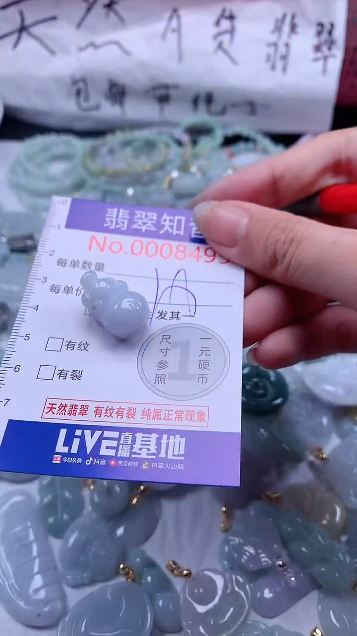 翡翠未镶嵌吊坠(不含链)8495