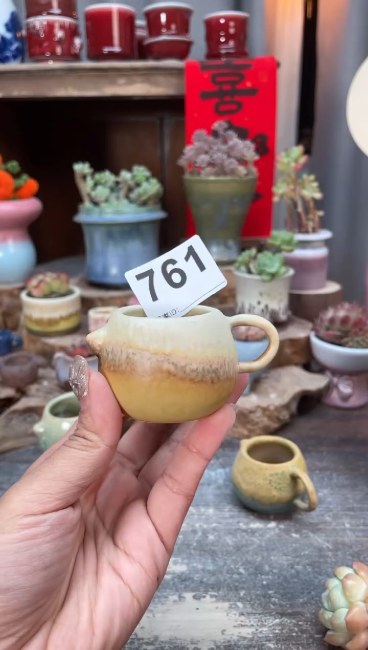 【闪购商品】摆件761知木小芳花盆