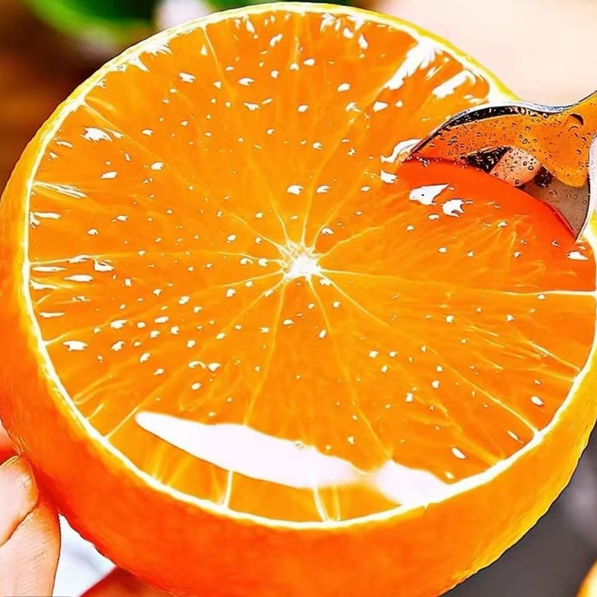 《农人老三》空运四川红美人爱媛果冻橙 汁水丰富新鲜水果顺丰包邮g四川省