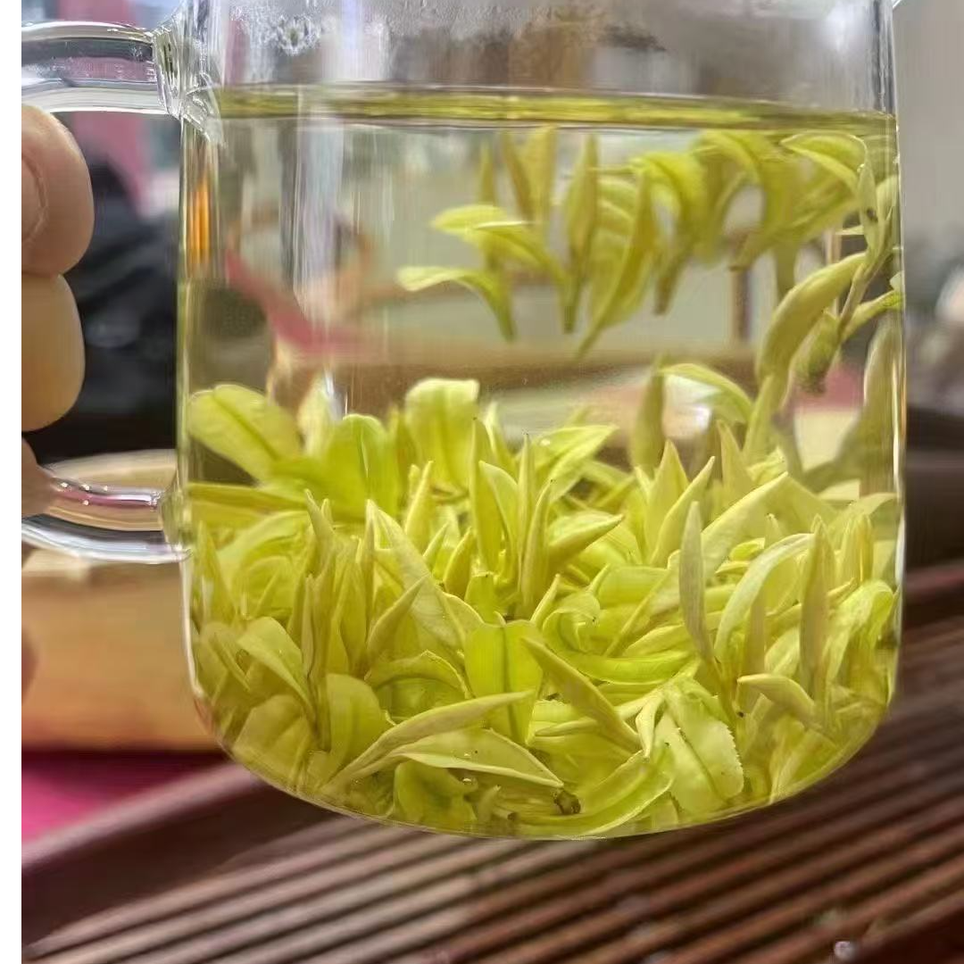 明前头采兰香奶白茶好喝回甘鲜爽有兰花香