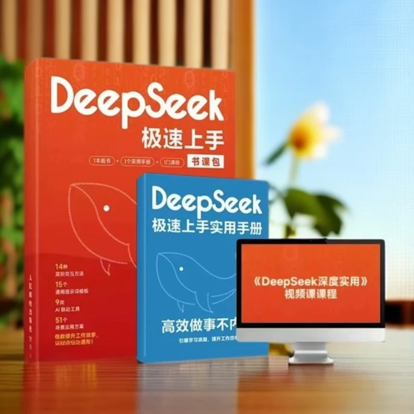 DeepSeet 三合一全方位教学