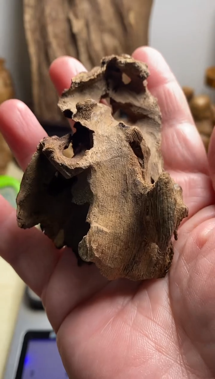 【闪购商品】沉香沉香碎屑柬埔寨土沉原料10克