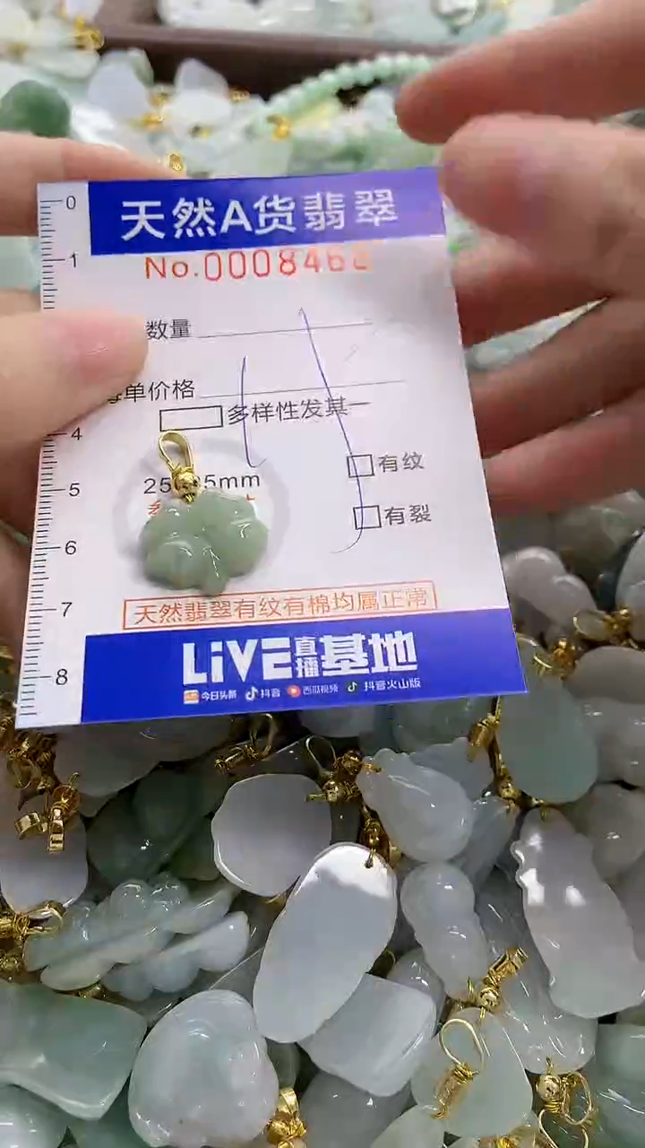 颈饰未镶嵌翡翠天然A货翡翠