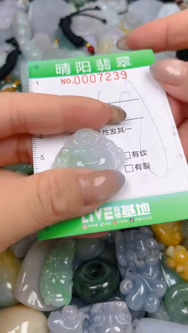 翡翠未镶嵌颈饰闪购0007239