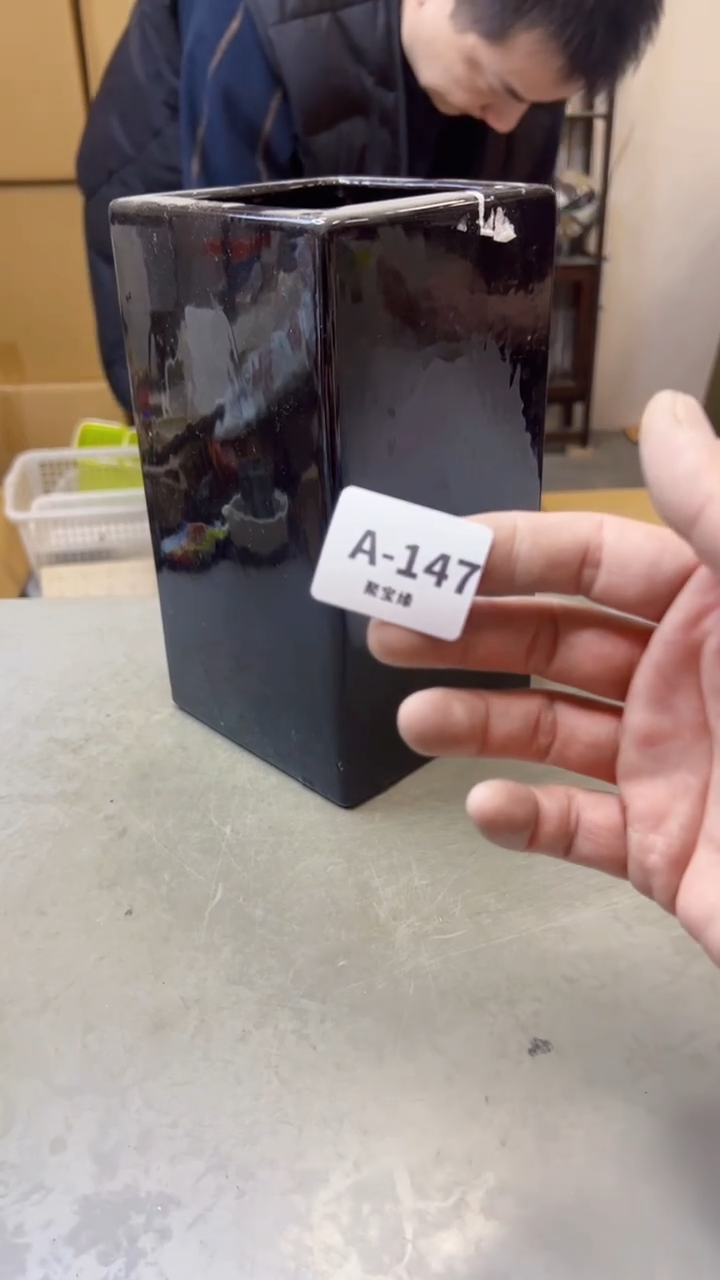 【闪购商品】瓷片147聚宝缘海淘精选