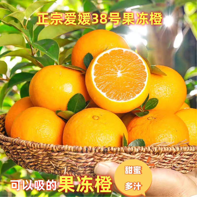 四川眉山爱媛38果冻橙 新鲜应季手剥橙子 皮薄肉大多汁