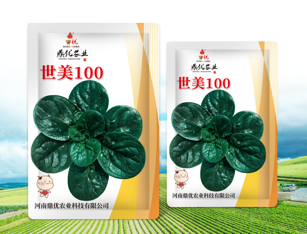 趴地菠菜种子，抗霜霉病，叶片平展黑亮，250克菠菜种子耐寒蔬菜种子