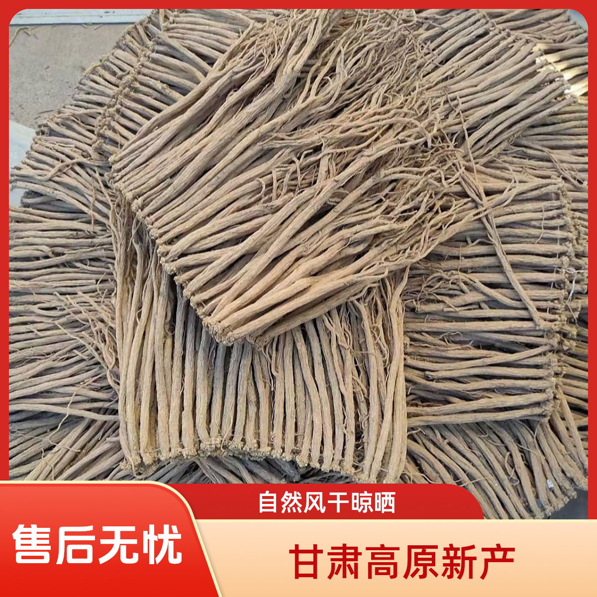 甘肃滋补党参产地直销菊花心
