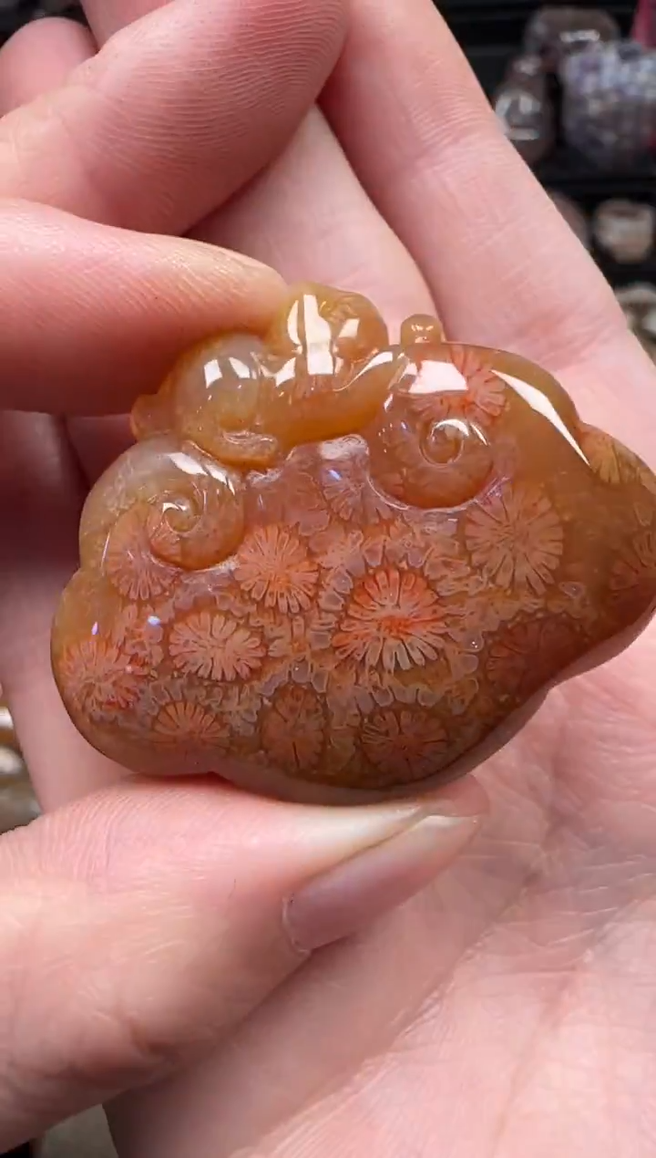 颈饰未镶嵌硅化珊瑚（珊瑚玉）151