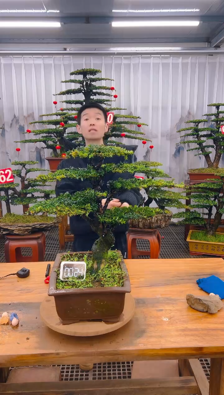 【闪购商品】紫砂精品盆景直播间一物一拍