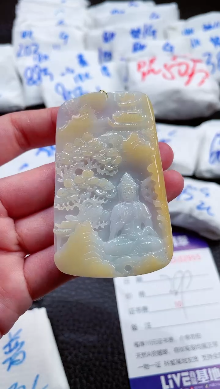 【闪购商品】翡翠未镶嵌颈饰00002855