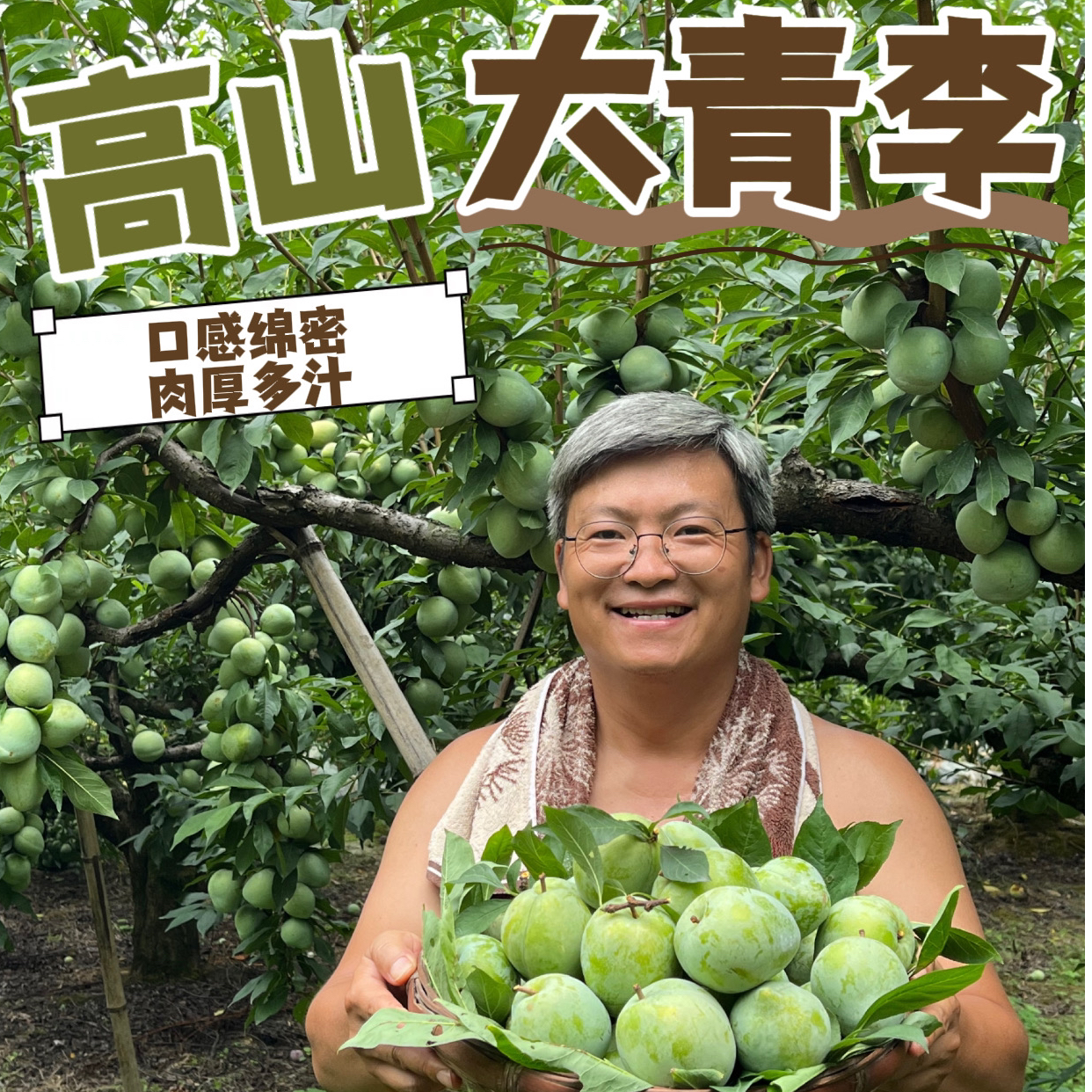 【奈李】湘西老树奈李现摘现发
