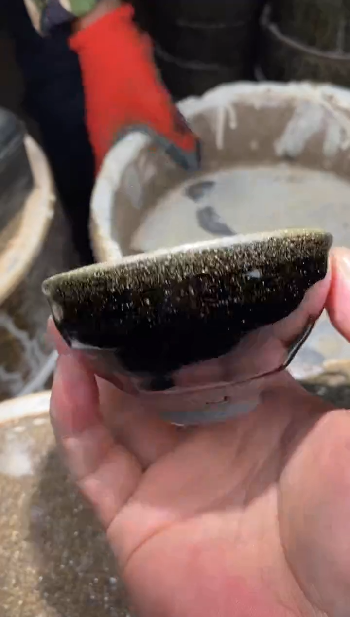 【闪购商品】杯86               