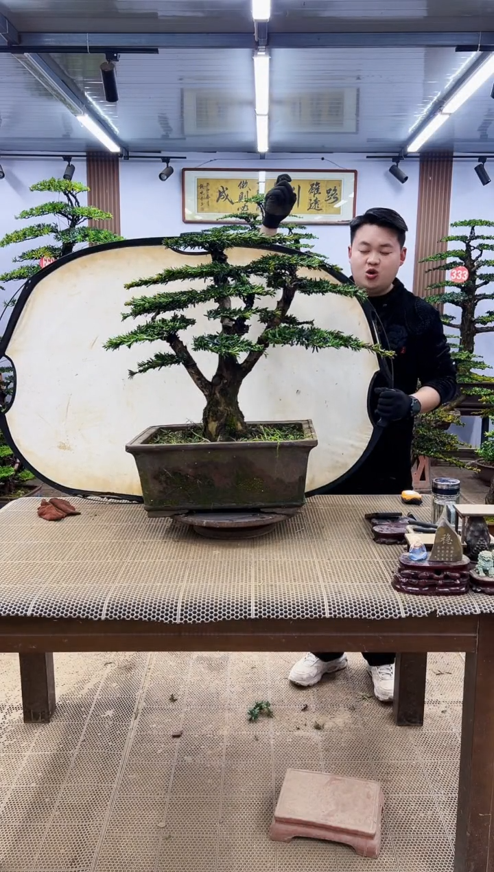 【闪购商品】00000000