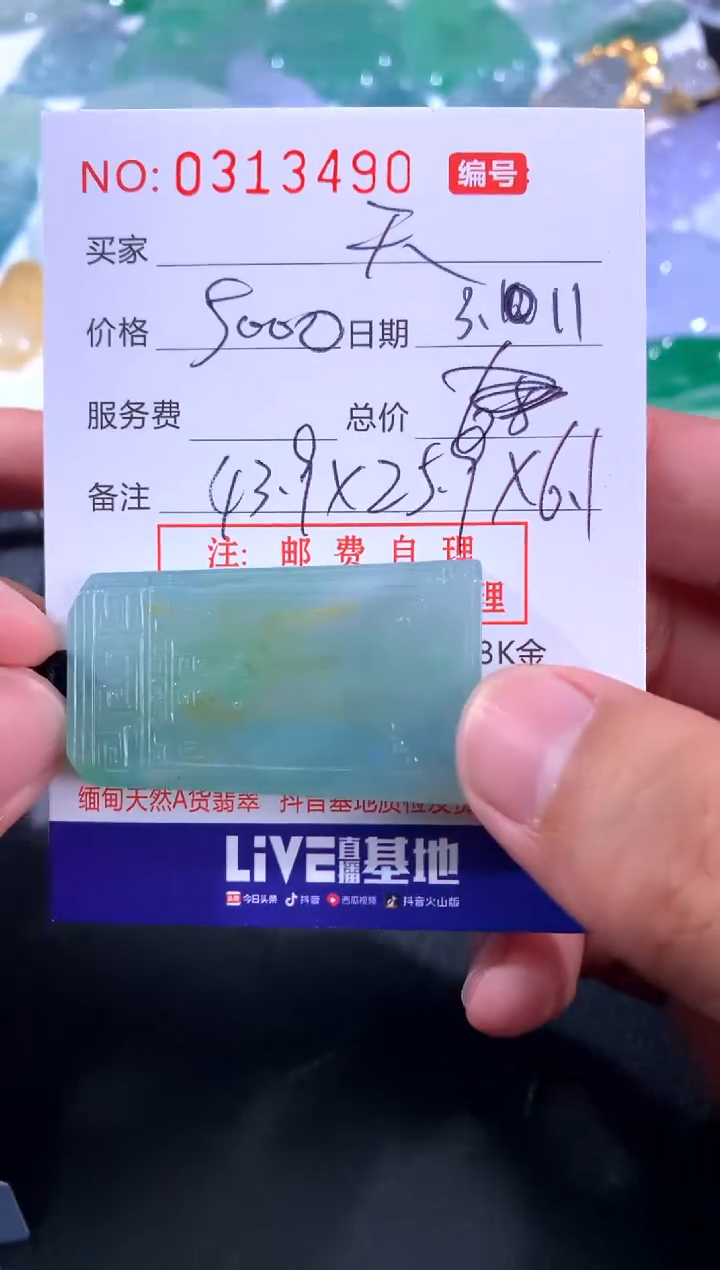 【闪购商品】翡翠颈饰未镶嵌 天