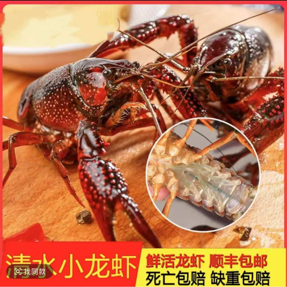【2025年新虾】四斤中青|现挑现选鲜活小龙虾|顺丰包邮小龙虾同城