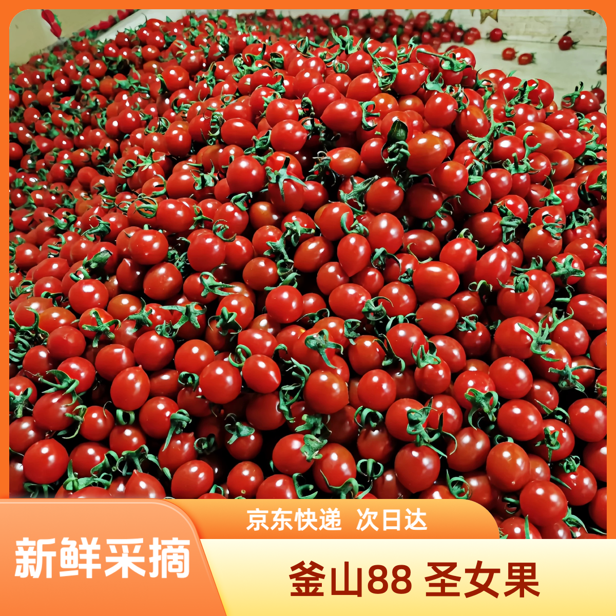 【平台补贴】平度釜山88圣女果小番茄 5斤 京东快递