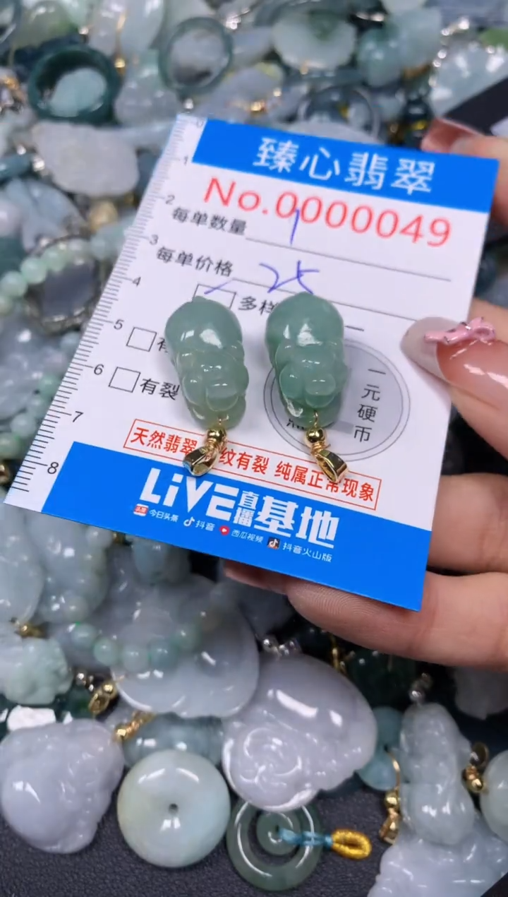 【闪购商品】翡翠颈饰未镶嵌多样性发其一0049