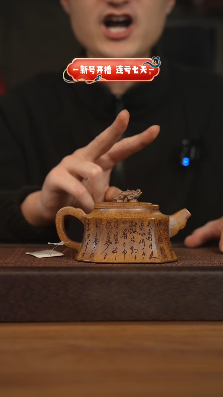 【闪购商品】紫砂茶壶宜兴原矿紫砂壶H3369