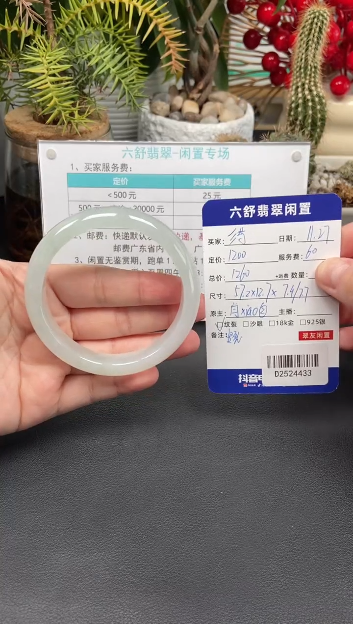 未镶嵌手镯翡翠?*药D2524433