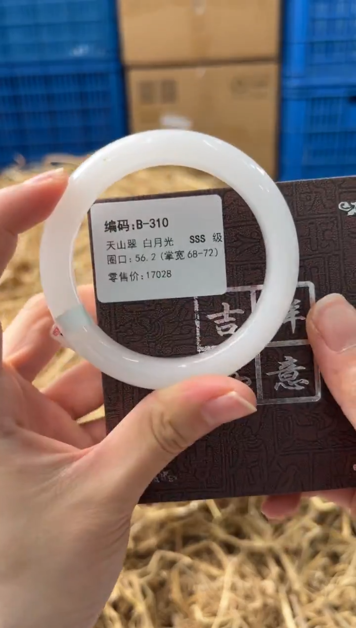 未镶嵌手镯石英质玉B-310