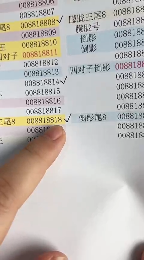 【闪购商品】塑料蛇钞包67分单张号码008818818