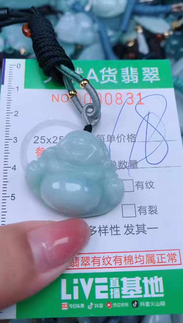 【闪购商品】翡翠颈饰未镶嵌.0000831