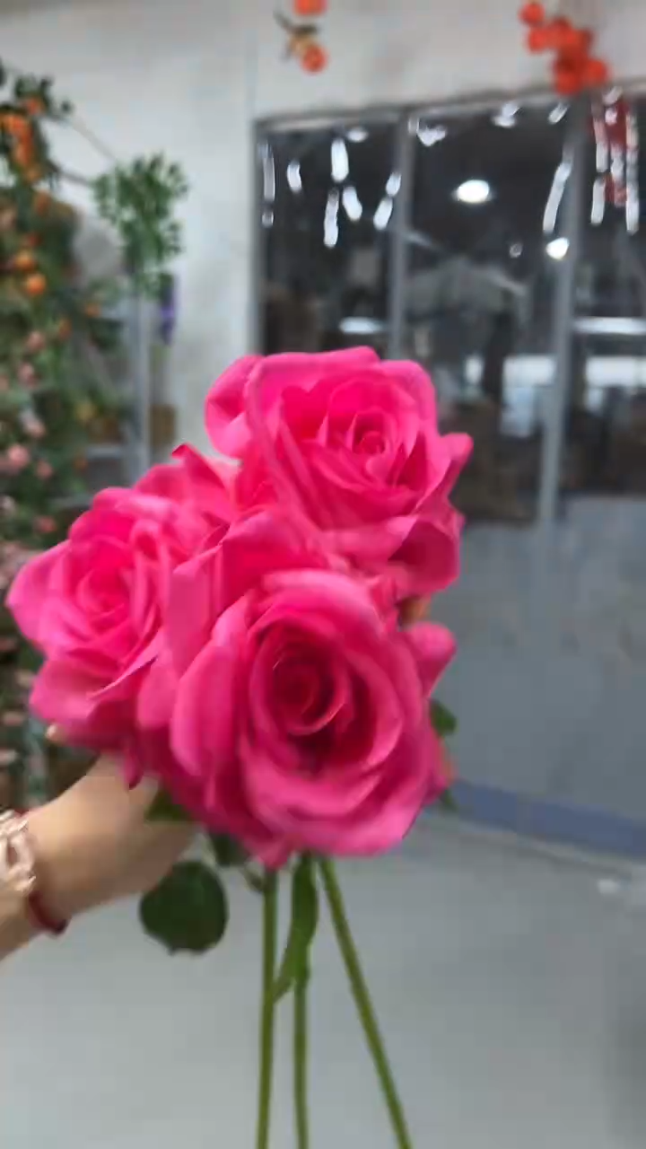 3枝玫红色手感保湿海洋之歌