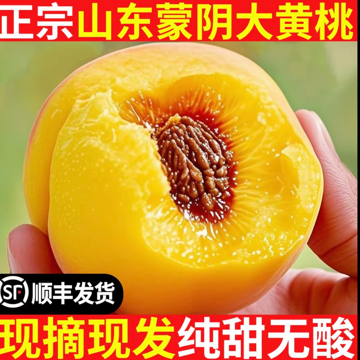 【次日达   顺丰】头茬山东正宗蒙阴纯甜大黄桃鲜果锦绣应季爆甜黄毛黄金蜜黄桃新鲜水果YX1桃子同城送山东省