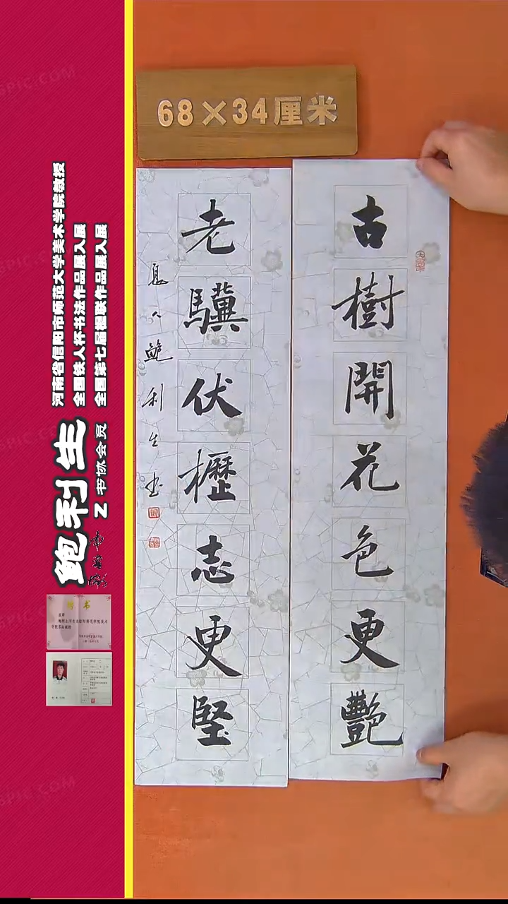 【闪购商品】书法302鲍利生书法作品