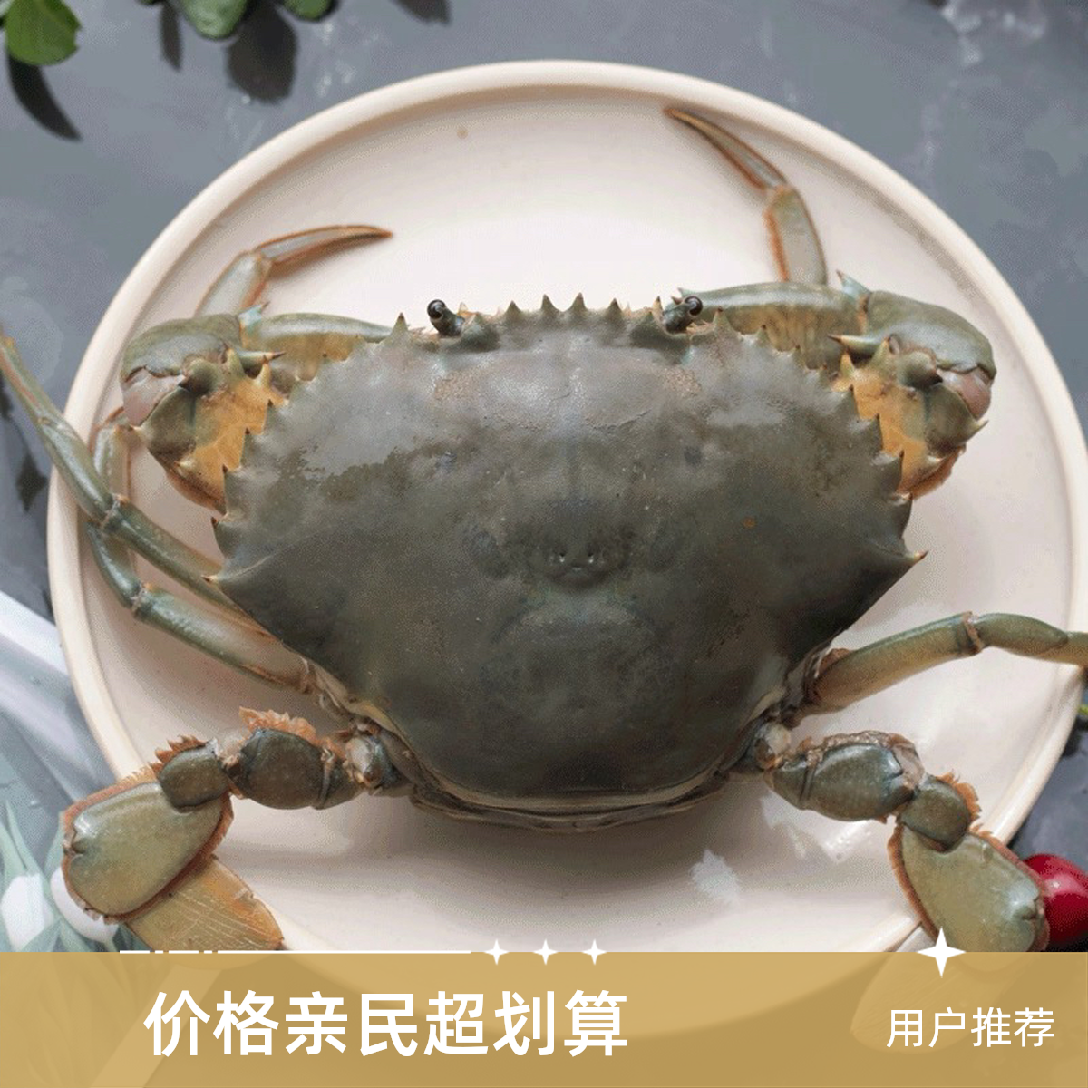 东山岛青蟹海鲜红膏蟹红鲟3-4两/只有膏有黄顺丰鲜活到家同城配送