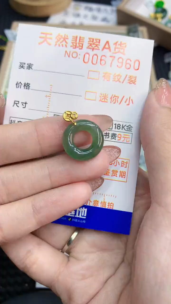 翡翠银S925镶嵌颈饰            8