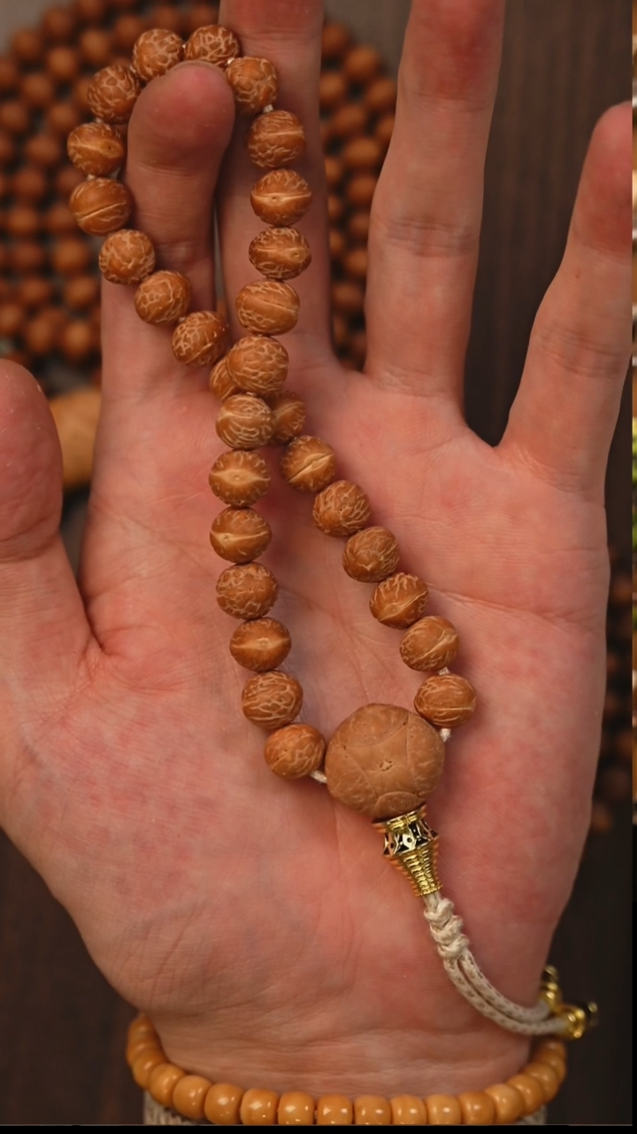 吊坠凤眼菩提S20酸枣核单圈