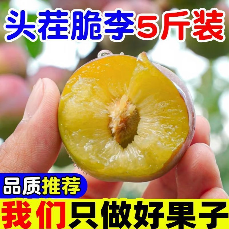 【现货】正宗重庆脱骨青脆李巫山脆李新鲜当季孕妇水果现摘李子整箱