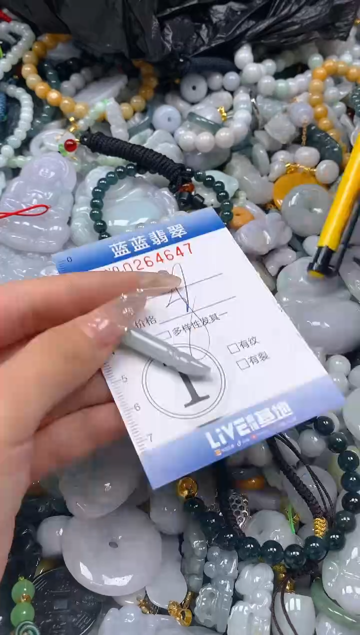 翡翠未镶嵌颈饰闪购0264647