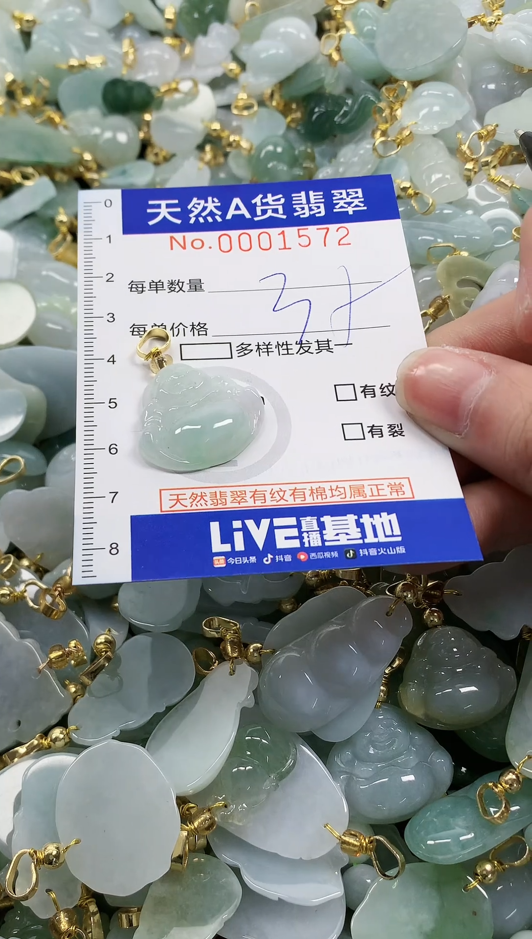 颈饰未镶嵌翡翠纯天然a货翡翠