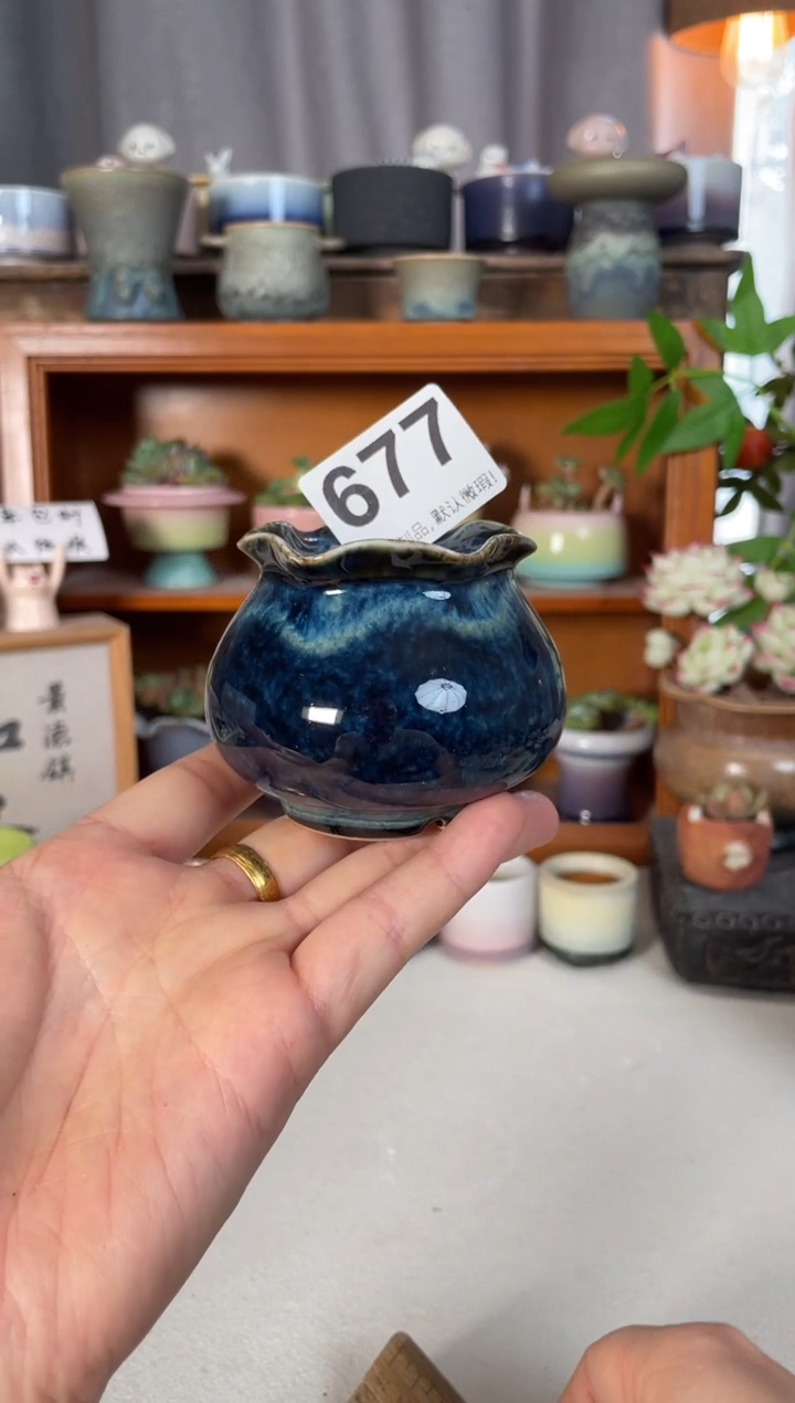 瓷片677知木小芳花盆