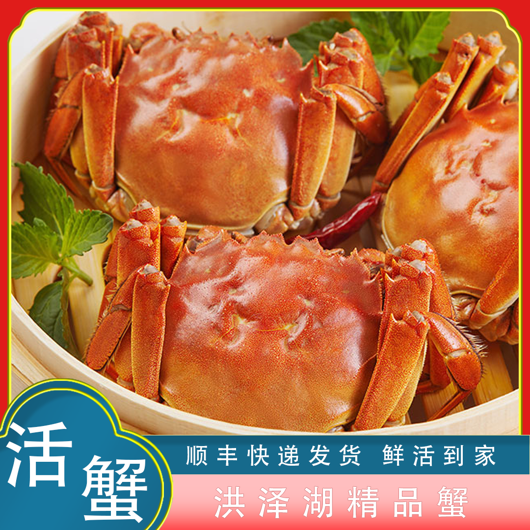 【活蟹】全母蟹 6-10只 （1点7-2点0两）活蟹冷链现发