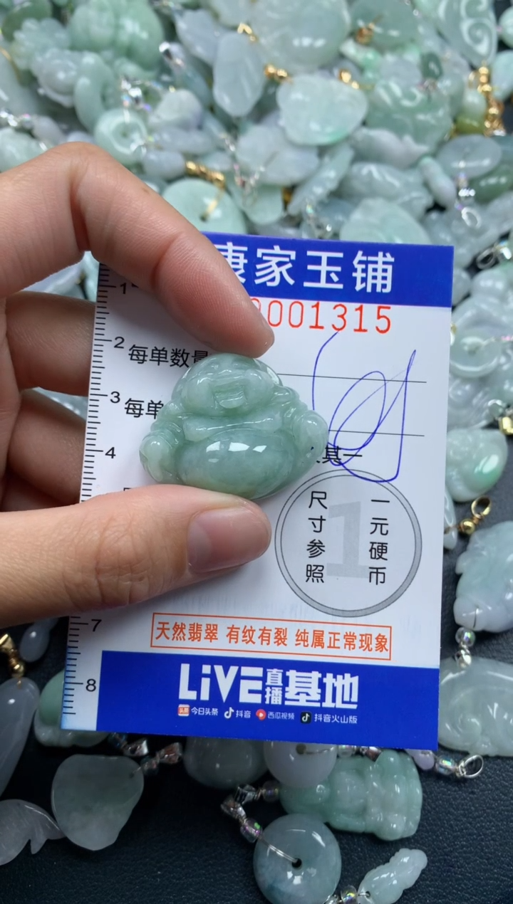 颈饰未镶嵌翡翠1315