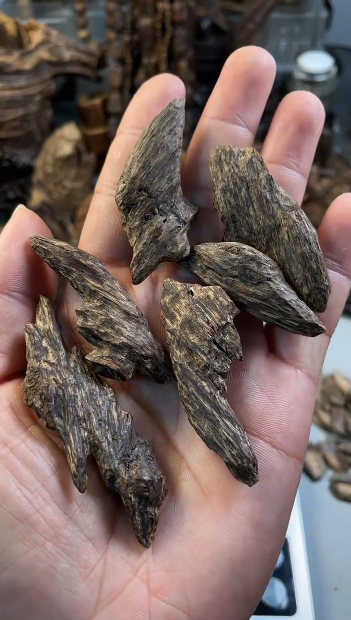 【闪购商品】沉香沉香碎屑沉香 达拉干沉香 达拉干