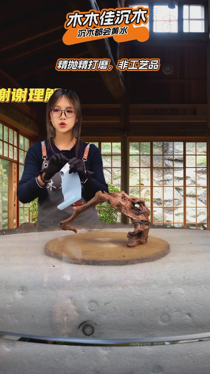 淡****世木木佳沉木鱼缸造景-956