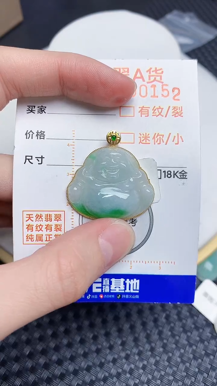 【闪购商品】翡翠颈饰18K金镶嵌145345345