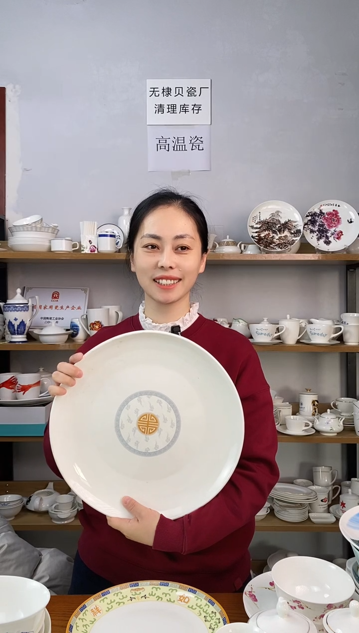  直播间14寸深盘纯白出口韩标宫殿二个