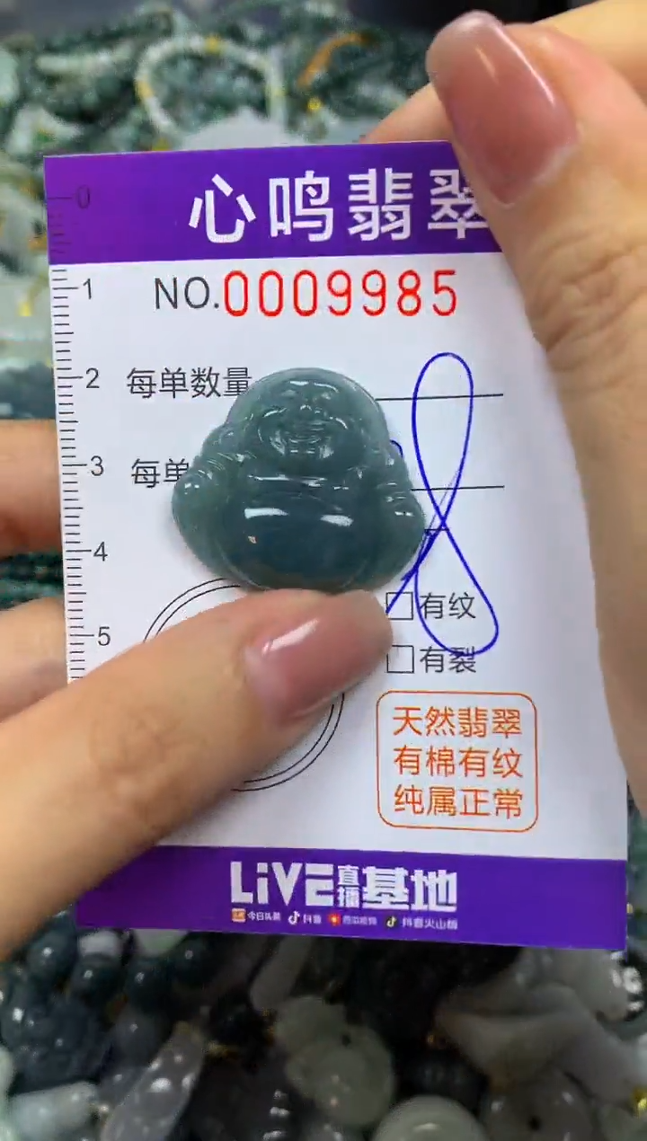 翡翠未镶嵌颈饰闪购009985